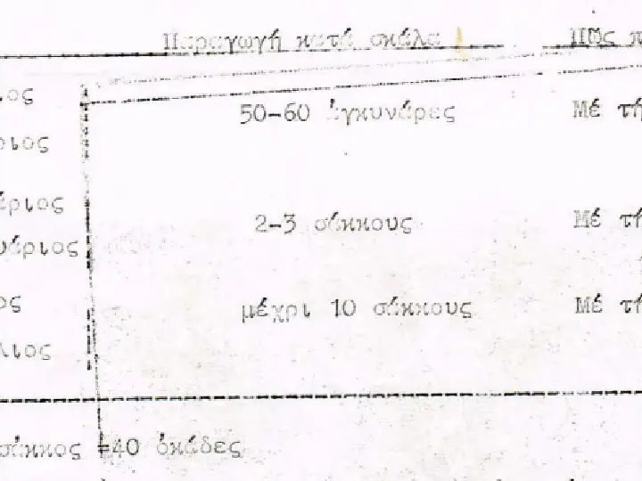 Η παραγωγή αγκινάρων στο Κίτι